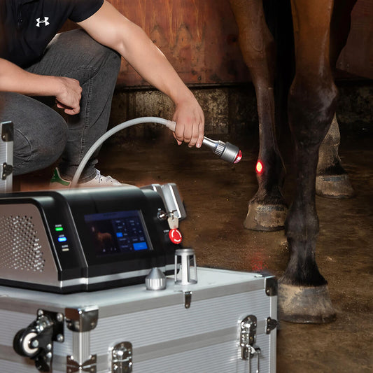 FDA Approved Class 4 Laser Smart 10W 20W 30W for Animals