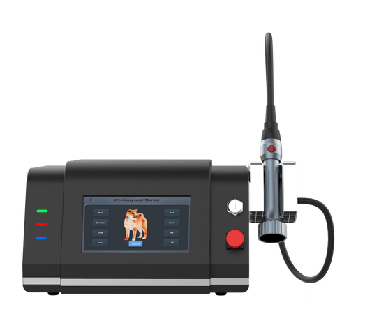 FDA Approved Class 4 Laser Smart 10W 20W 30W for Animals